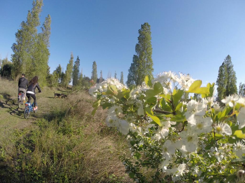 Eureka Azienda Agrituristica Cavallino-Treporti Buitenkant foto